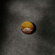 Load image into Gallery viewer, Mont-Tremblant National Park of Quebec Pinback Button - Canada Untamed