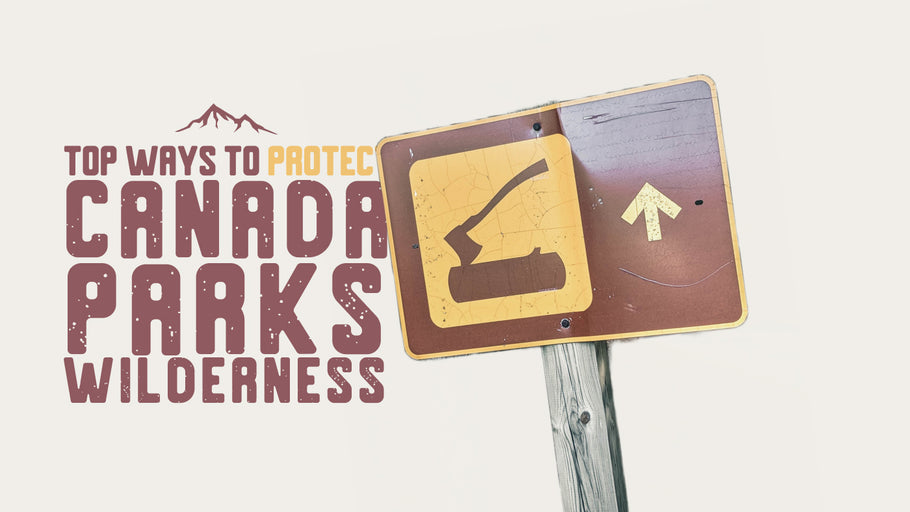 Top 10 Ways to Protect Canada Parks Wilderness