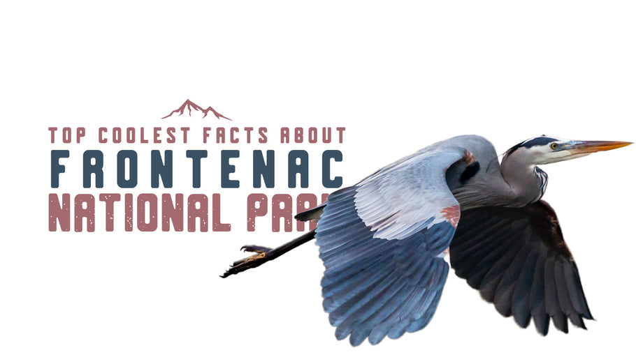 The Coolest Facts about Frontenac National Park