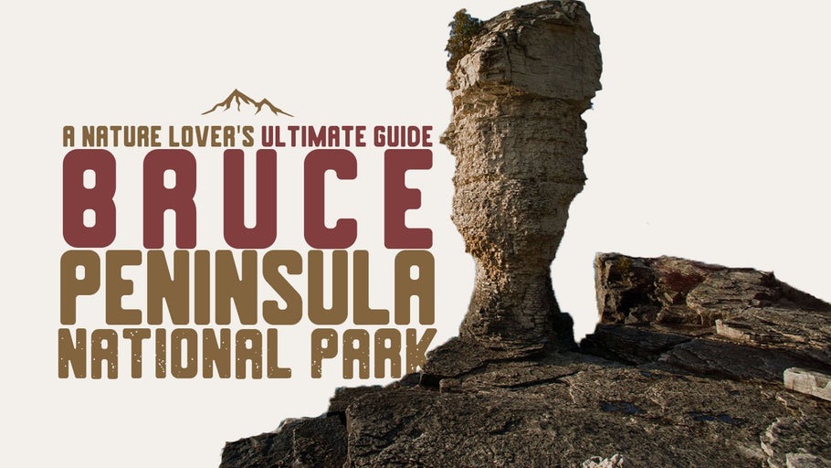 Bruce Peninsula National Park: A Nature Lover's Ultimate Guide
