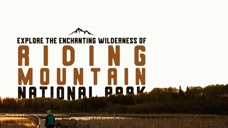 Explore the Enchanting Wilderness of Riding Mountain National Park