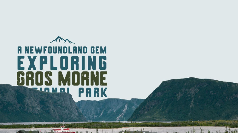 Exploring Gros Morne National Park: A Newfoundland Gem