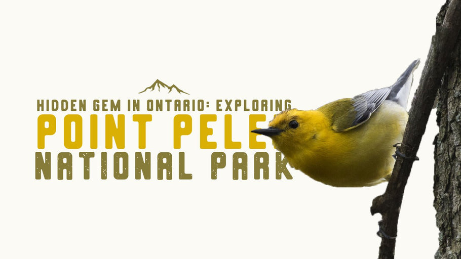 Exploring Point Pelee National Park: Hidden Gem in Ontario