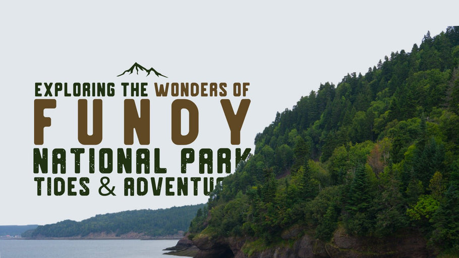 Exploring the Wonders of Fundy National Park: Tides & Adventures