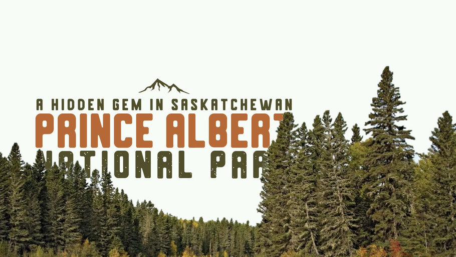 Prince Albert National Park: A Hidden Gem in Saskatchewan