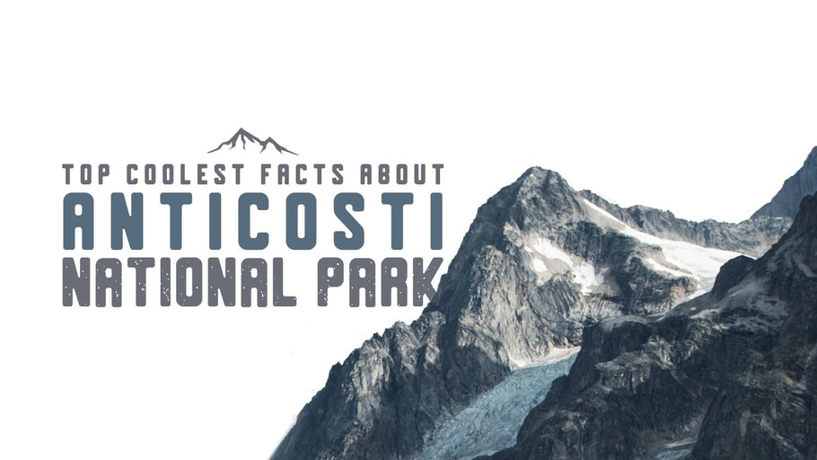 The Coolest Facts about Anticosti National Park