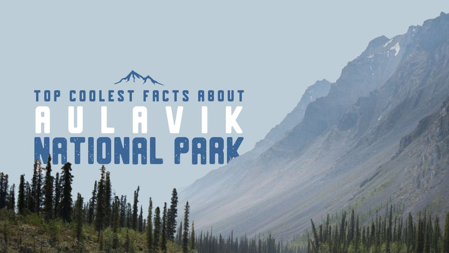 The Coolest Facts about Aulavik National Park