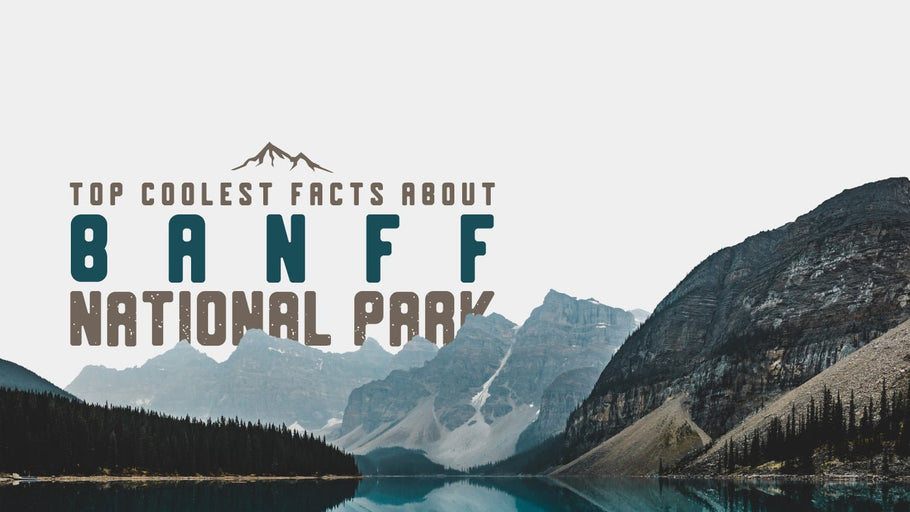 The Coolest Facts about Banff National Park