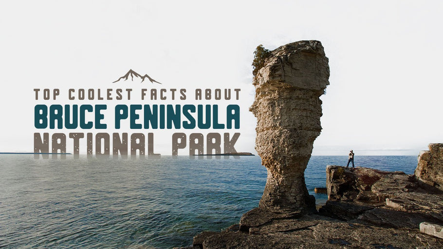 The Coolest Facts about Bruce Peninsula National Park