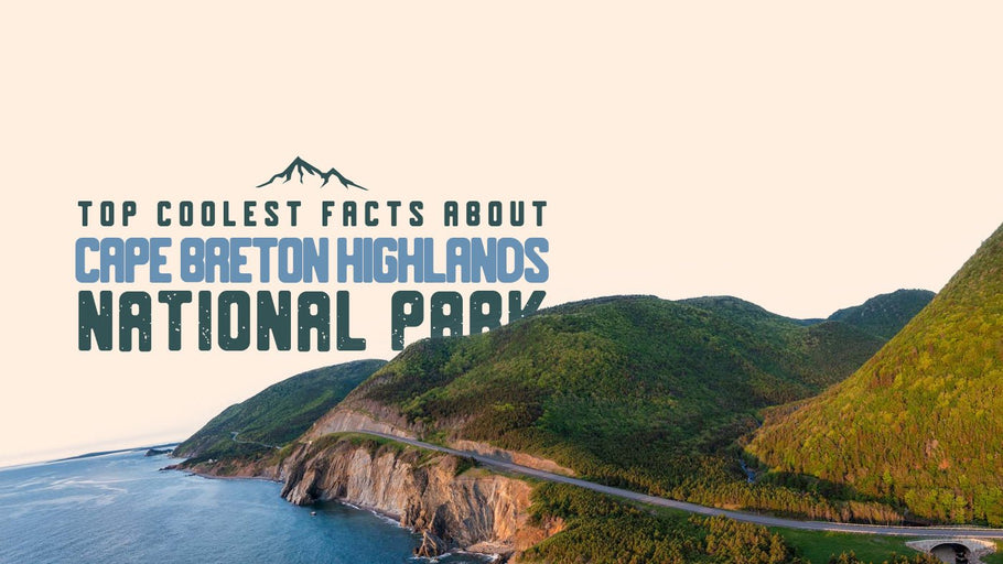 The Coolest Facts about Cape Breton Highlands National Park