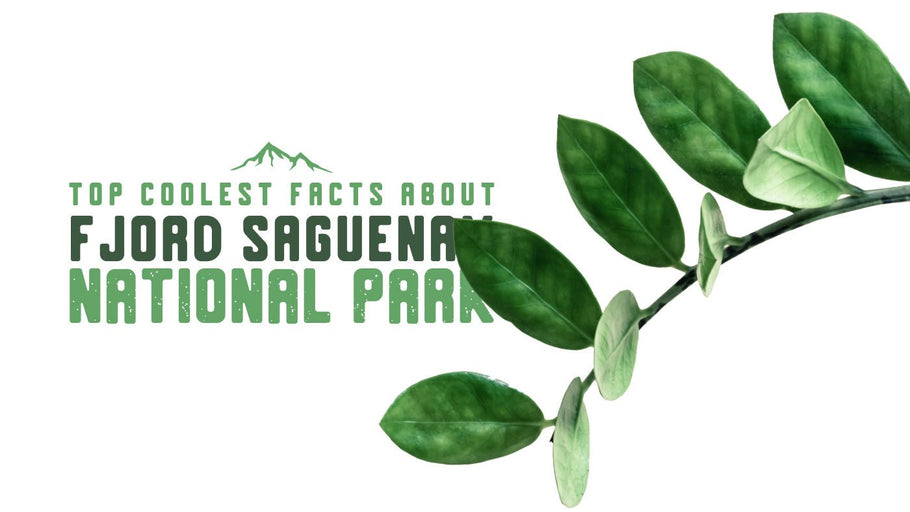 The Coolest Facts about Fjord Saguenay National Park