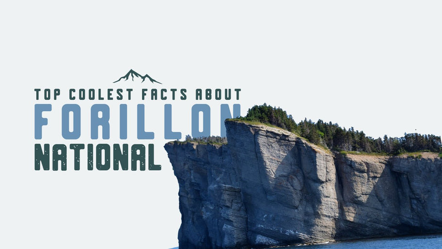 The Coolest Facts about Forillon National Park