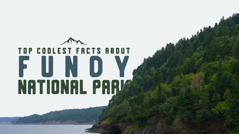 The Coolest Facts about Fundy National Park