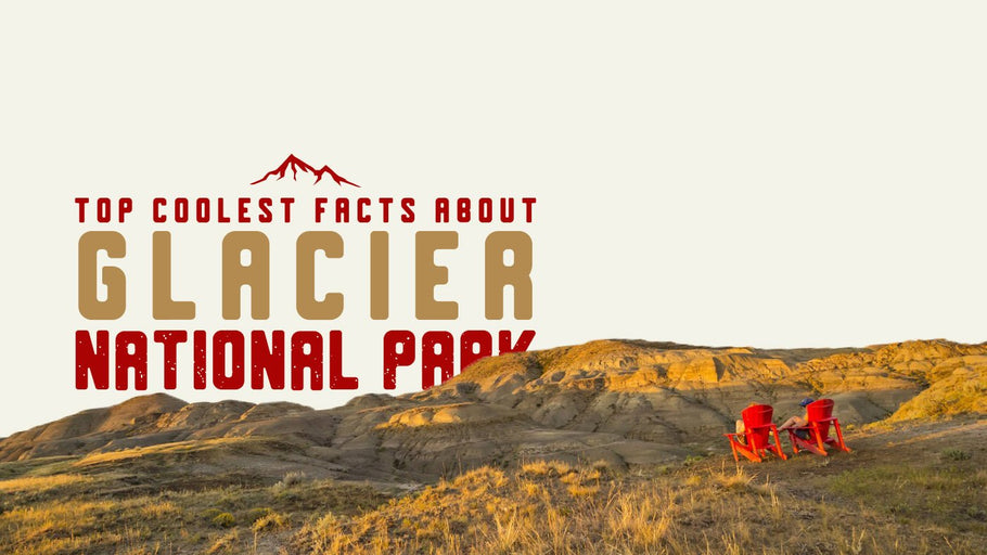 The Coolest Facts about Grasslands National Park