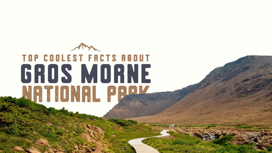 The Coolest Facts about Gros Morne National Park