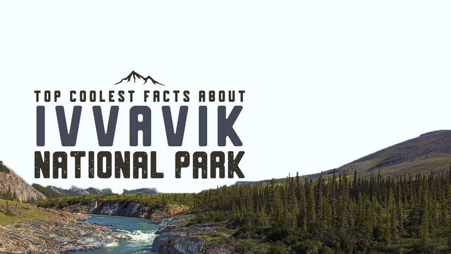 The Coolest Facts about Ivvavik National Park