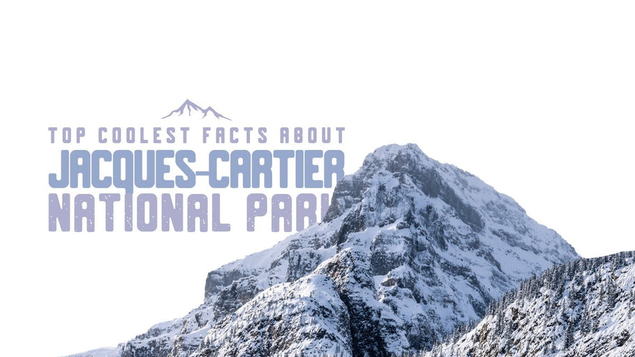 The Coolest Facts about Jacques-Cartier National Park