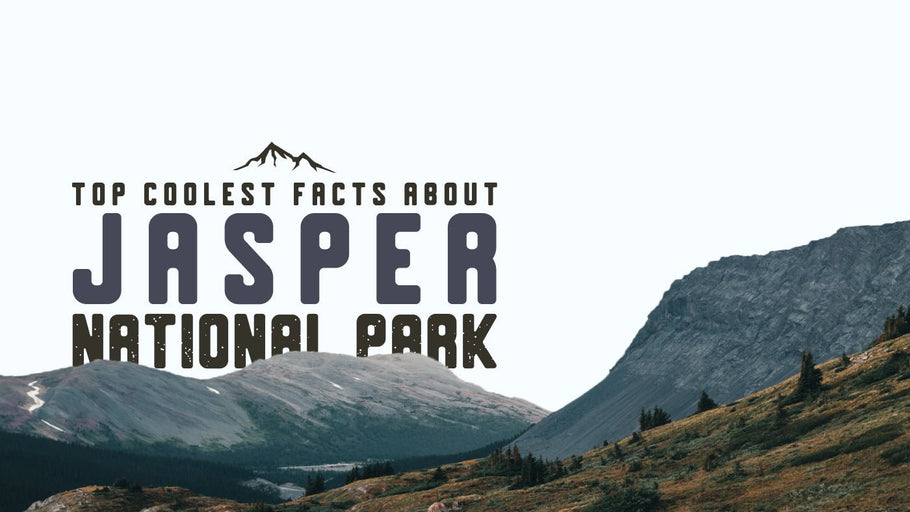 The Coolest Facts about Jasper National Park