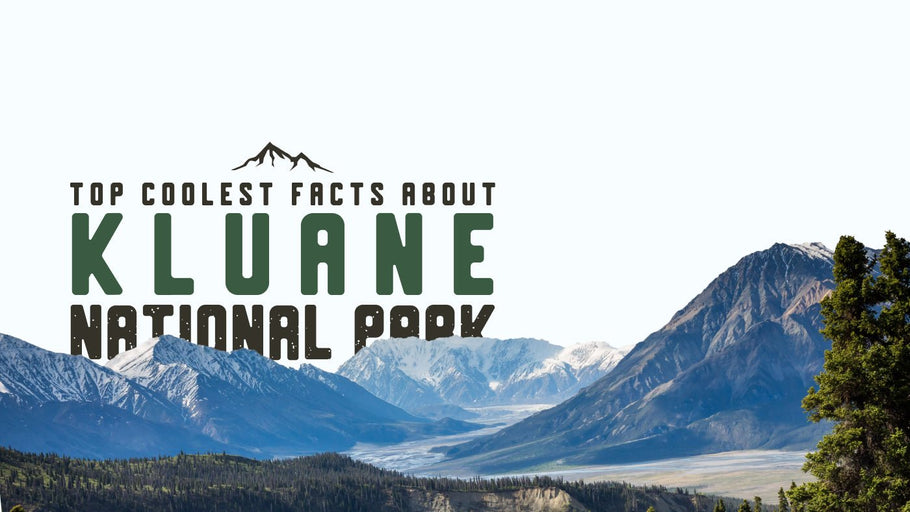 The Coolest Facts about Kluane National Park