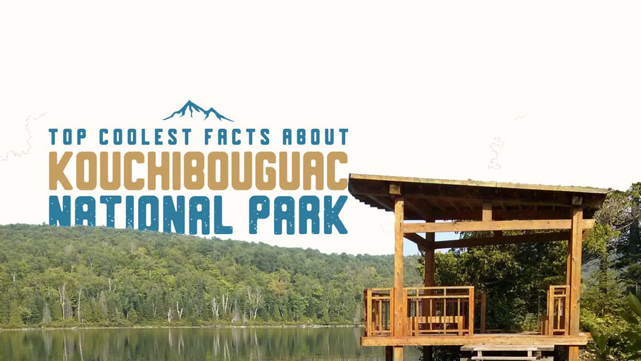 The Coolest Facts about Kouchibouguac National Park