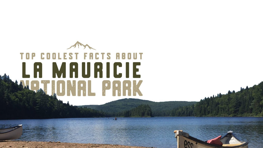 The Coolest Facts about La Mauricie National Park
