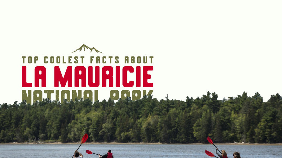 The Coolest Facts about La Mauricie National Park