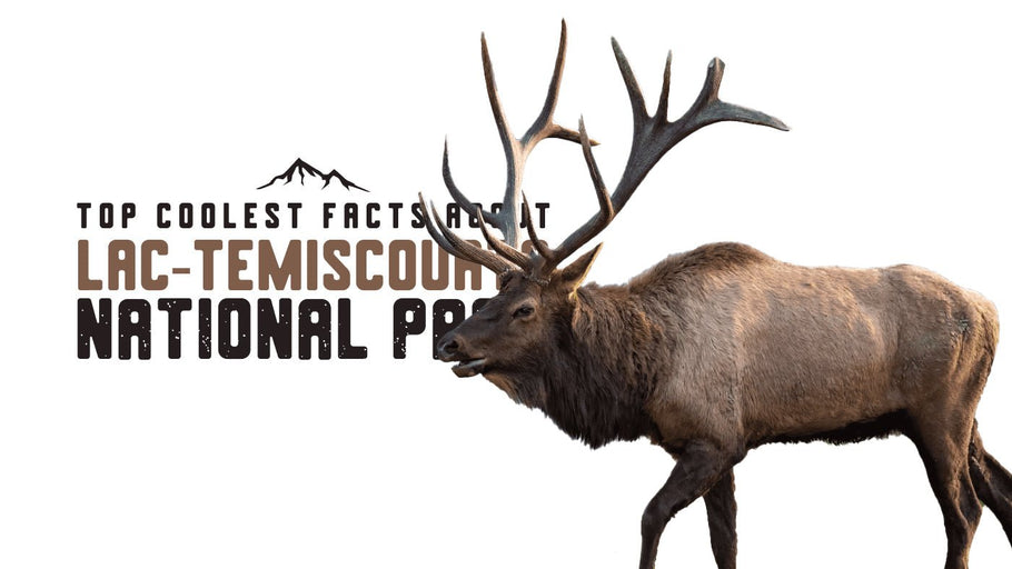 The Coolest Facts about Lac-Témiscouata National Park