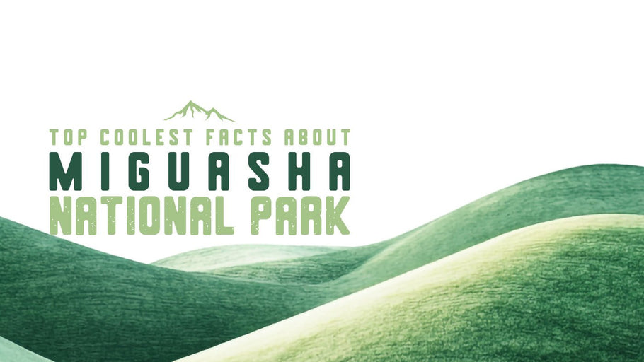 The Coolest Facts about Miguasha National Park