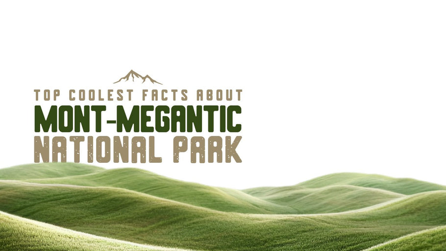 The Coolest Facts about Mont-Mégantic National Park