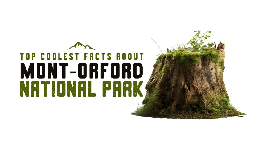 The Coolest Facts about Mont-Orford National Park