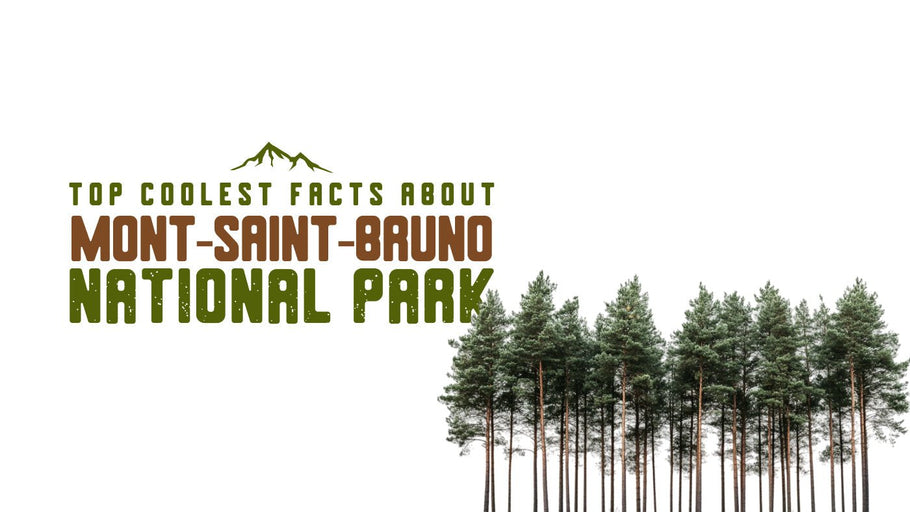 The Coolest Facts about Mont-Saint-Bruno National Park