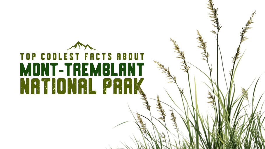 The Coolest Facts about Mont-Tremblant National Park