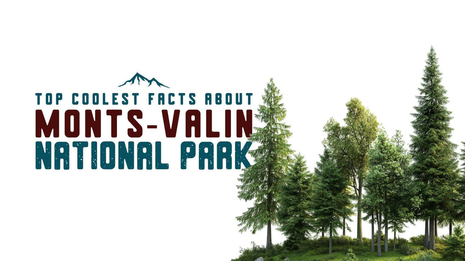 The Coolest Facts about Monts-Valin National Park