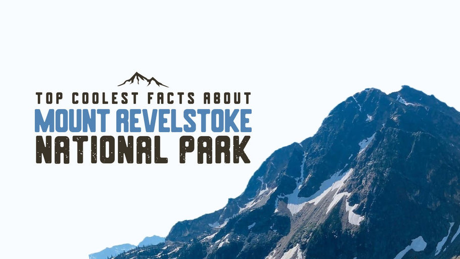 The Coolest Facts about Mount Revelstoke National Park