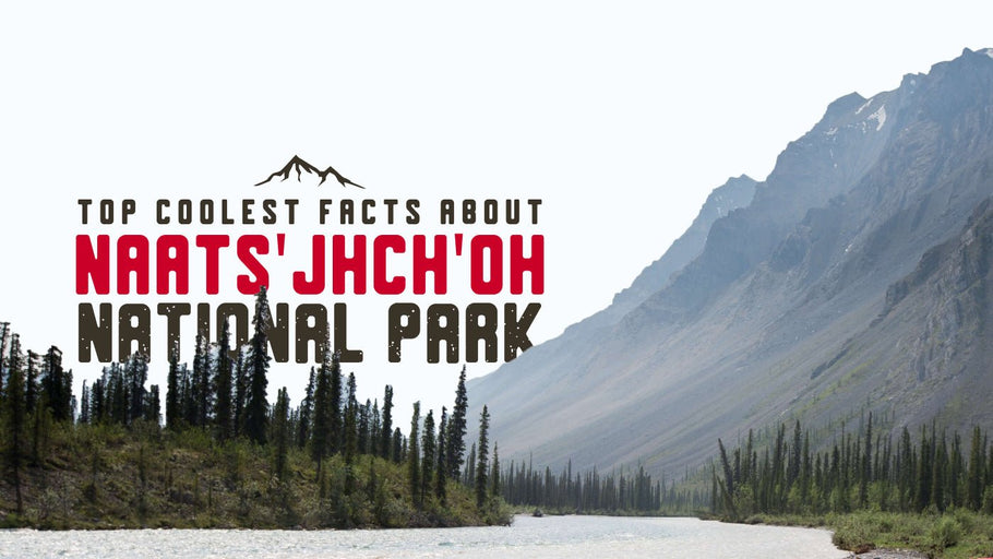 The Coolest Facts about Nááts'įhch'oh National Park