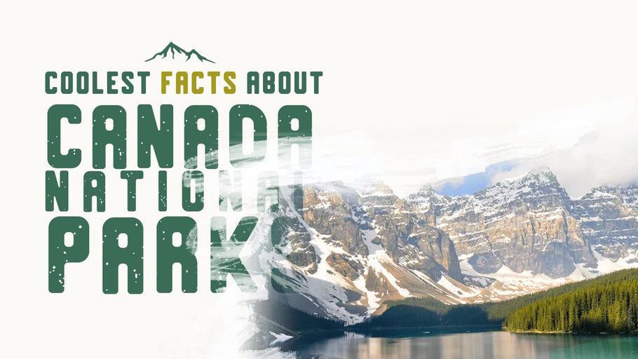The Coolest Facts about National Parks of Canada