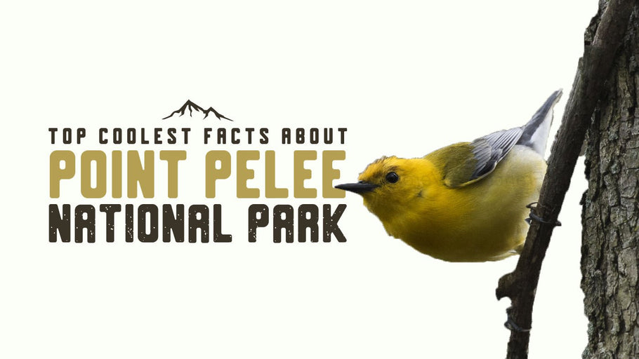 The Coolest Facts about Point Pelee National Park