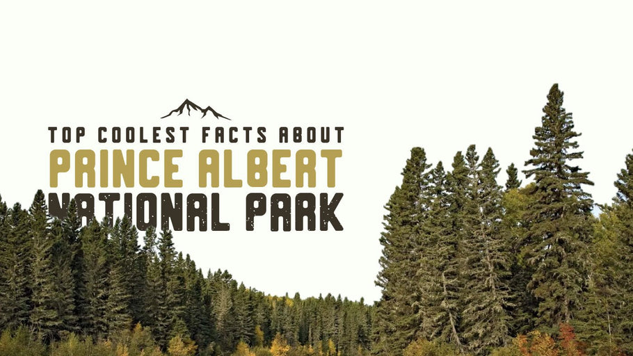 The Coolest Facts about Prince Albert National Park