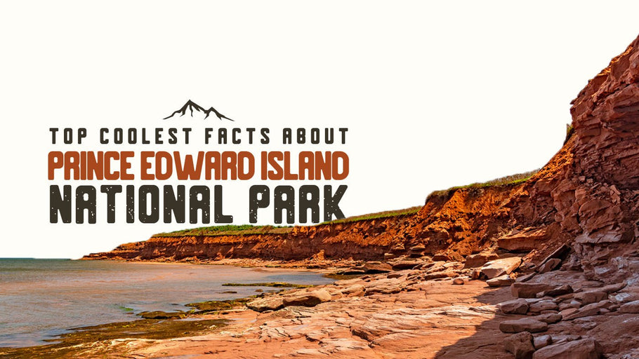 The Coolest Facts about Prince Edward Island National Park