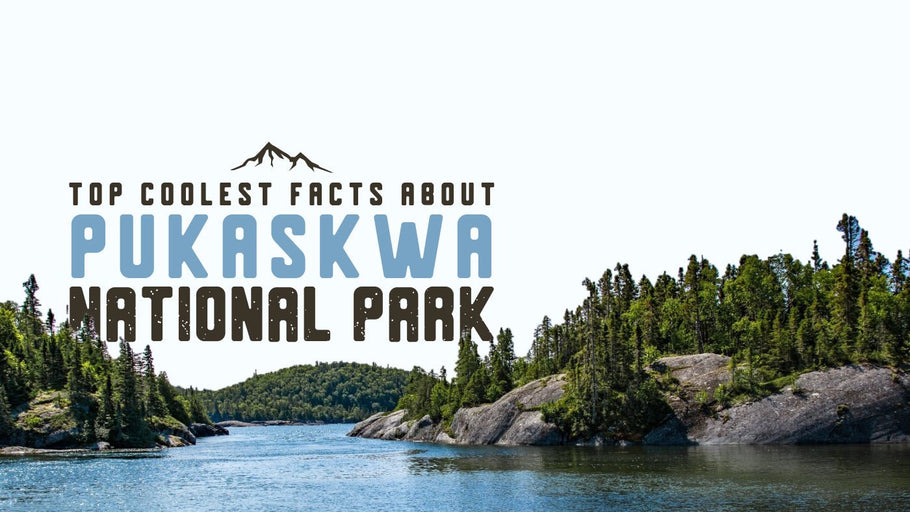 The Coolest Facts about Pukaskwa National Park