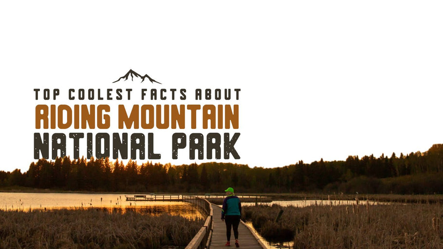 The Coolest Facts about Riding Mountain National Park