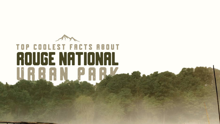 The Coolest Facts about Rouge National Urban Park