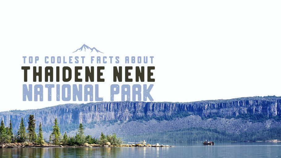 The Coolest Facts about Thaıdene Nëné National Park