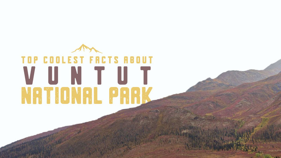 The Coolest Facts about Vuntut National Park