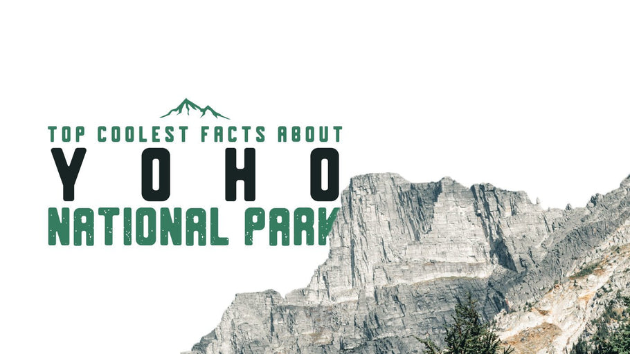 The Coolest Facts about Yoho National Park