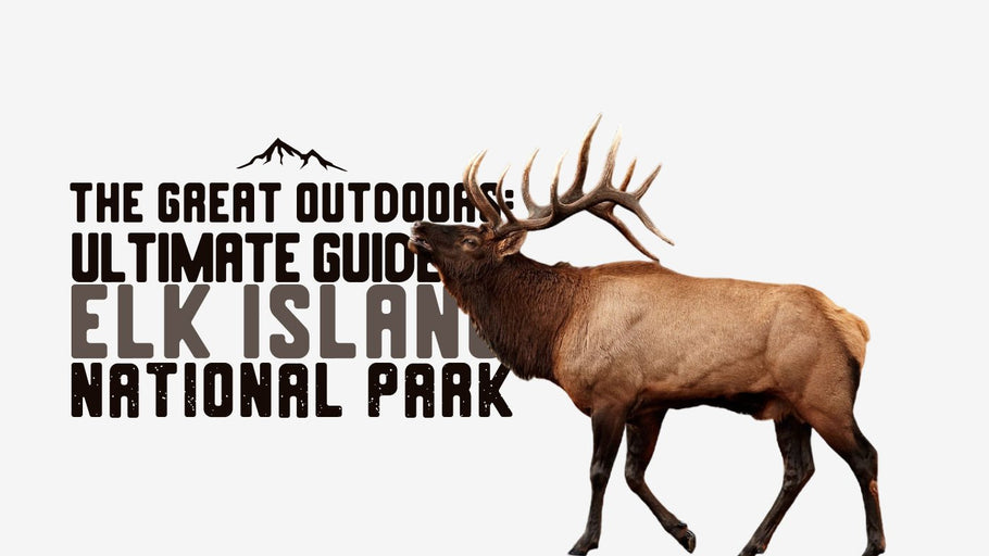 The Great Outdoors: Ultimate Guide to Elk Island National Park