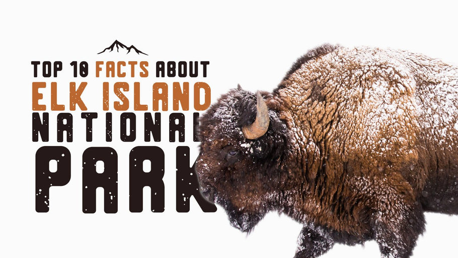 The Top 10 Coolest Facts about Elk Island National Park