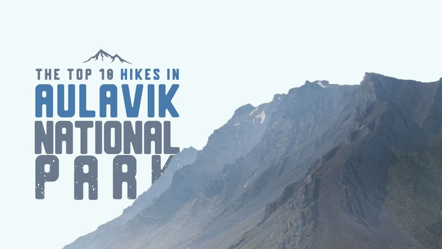 The Top 10 Hikes in Aulavik National Park