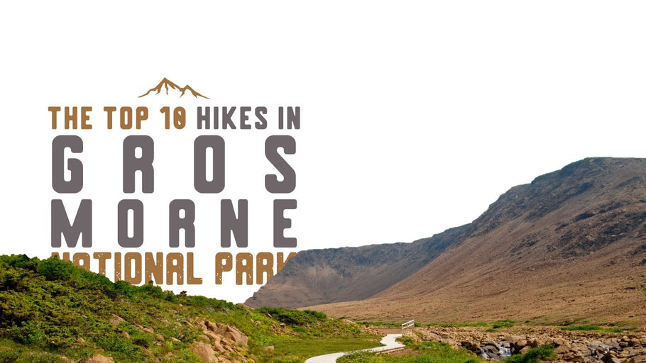 The Top 10 Hikes in Gros Morne National Park