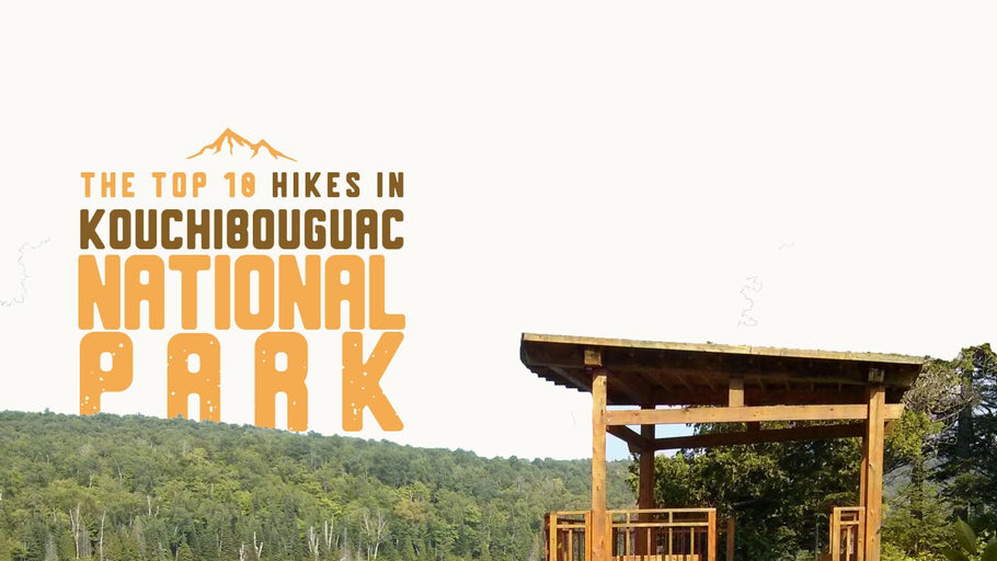 The Top 10 Hikes in Kouchibouguac National Park